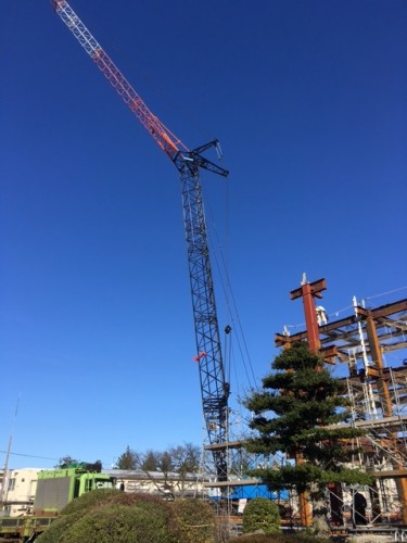 image1 (4)