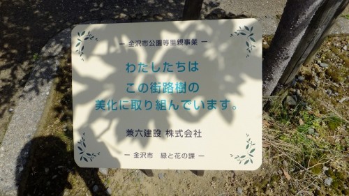 DSCF0938