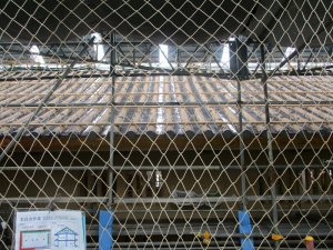 IMG_1484